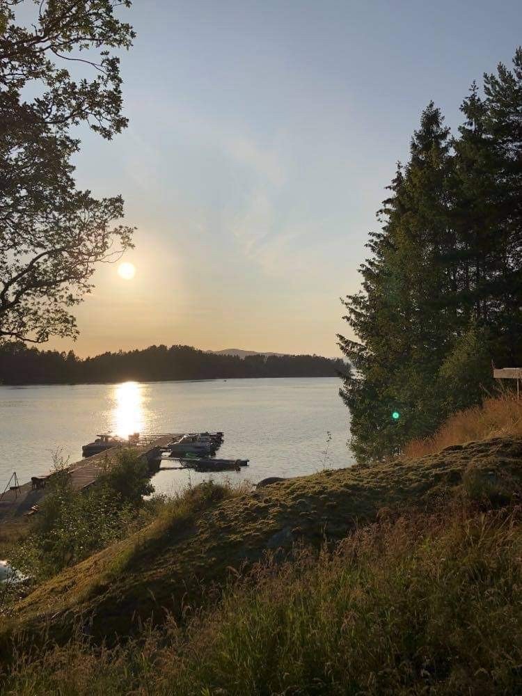 Her får man tomter med alle fasiliteter. Veg, vann, strøm, avløp og fiber ligger klar til tomtene. Galleribilde