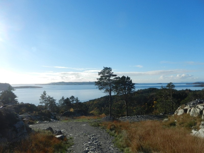 Fra tomtefeltet Galleribilde