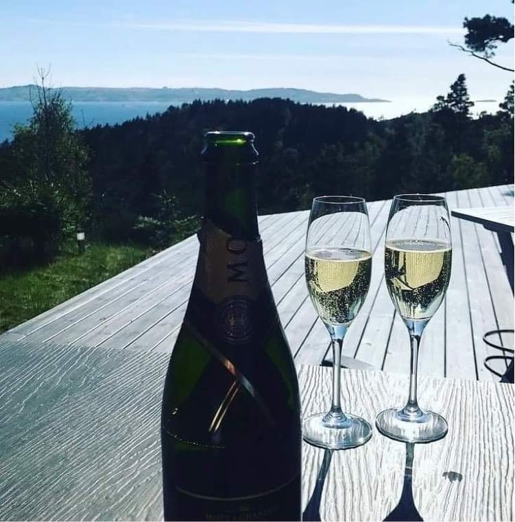Tomtene ligger skermet og fint i terrenget med nydelige omgivelser Galleribilde