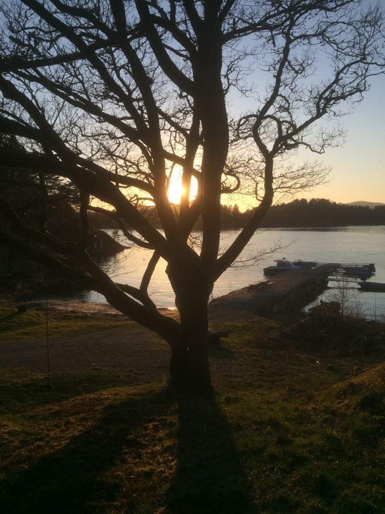 Fellesområde med badestrand, båt- og bryggeanlegg Galleribilde