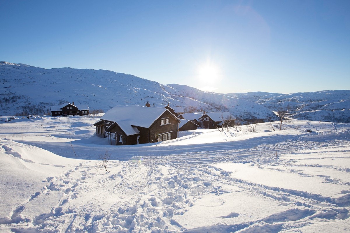 Flotte solforhold på Suleskard Fjellgård Galleribilde