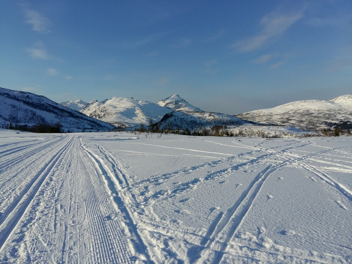 Skiløypa over Eidkjosen