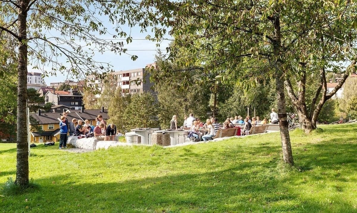 Flotte grøntområder i borettslaget. Galleribilde