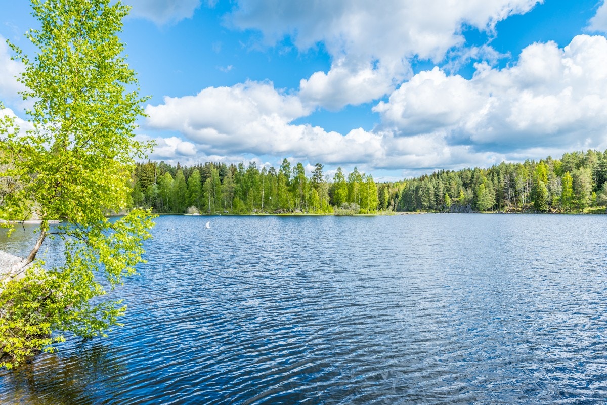Østensjøvannet er et populært sted med mye fugler og flotte turveier Galleribilde