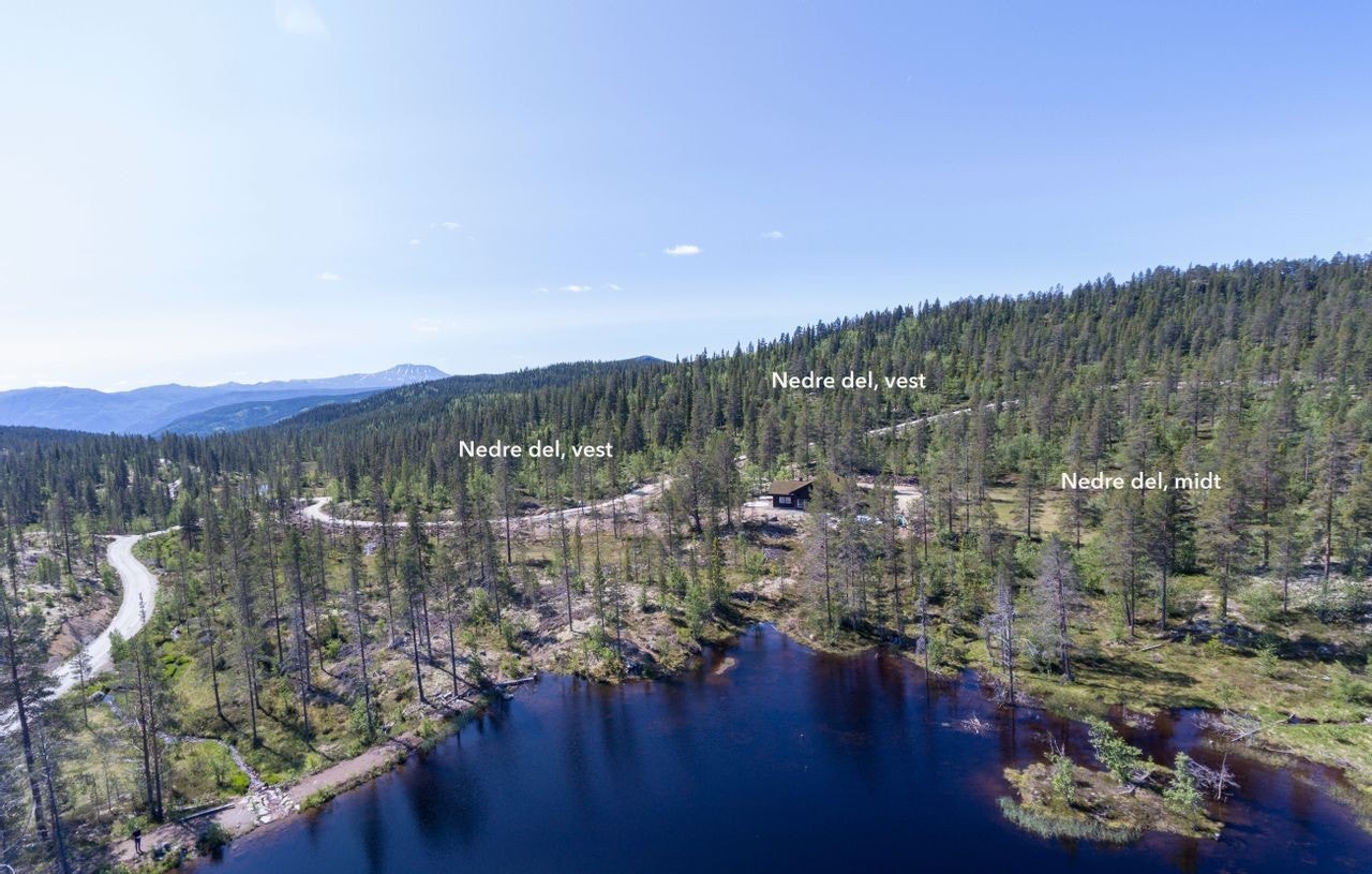 Tindefjell Hyttegrend Galleribilde