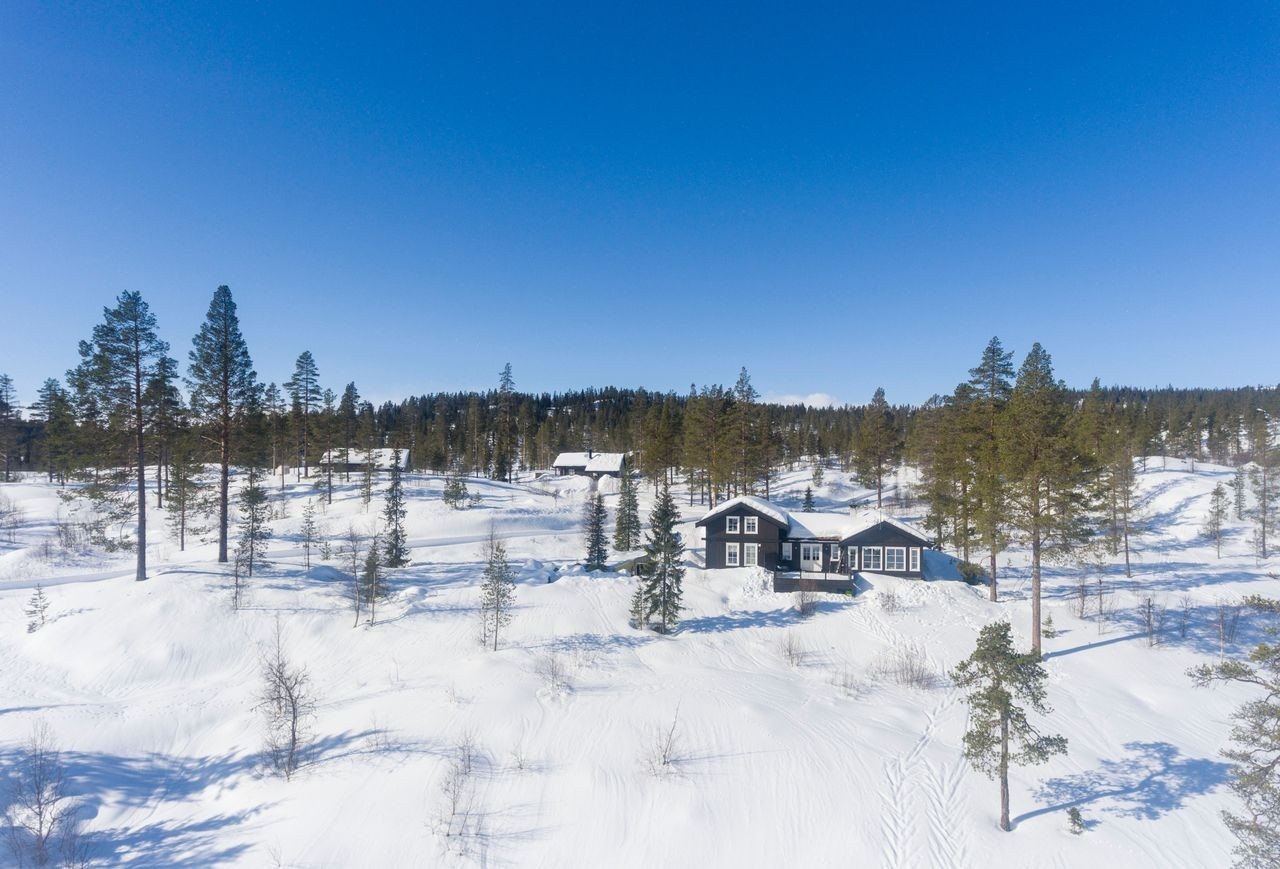 Tindefjell Hyttegrend Galleribilde