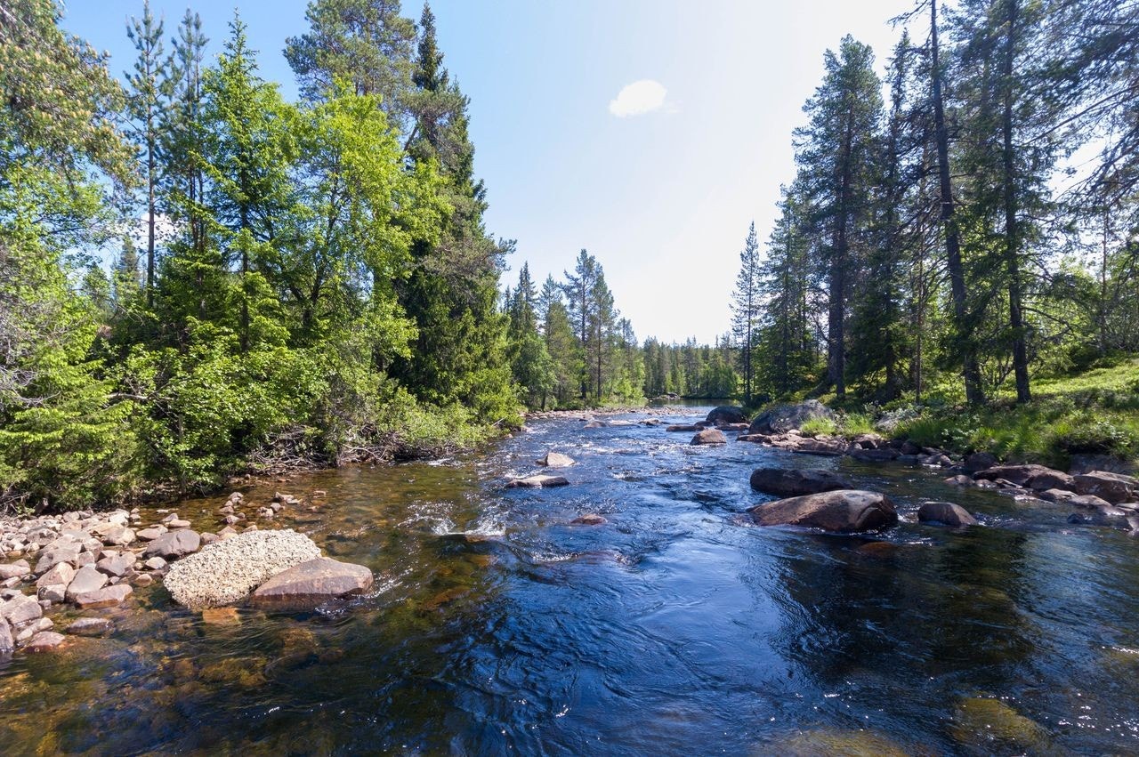 Tindefjell Hyttegrend Galleribilde