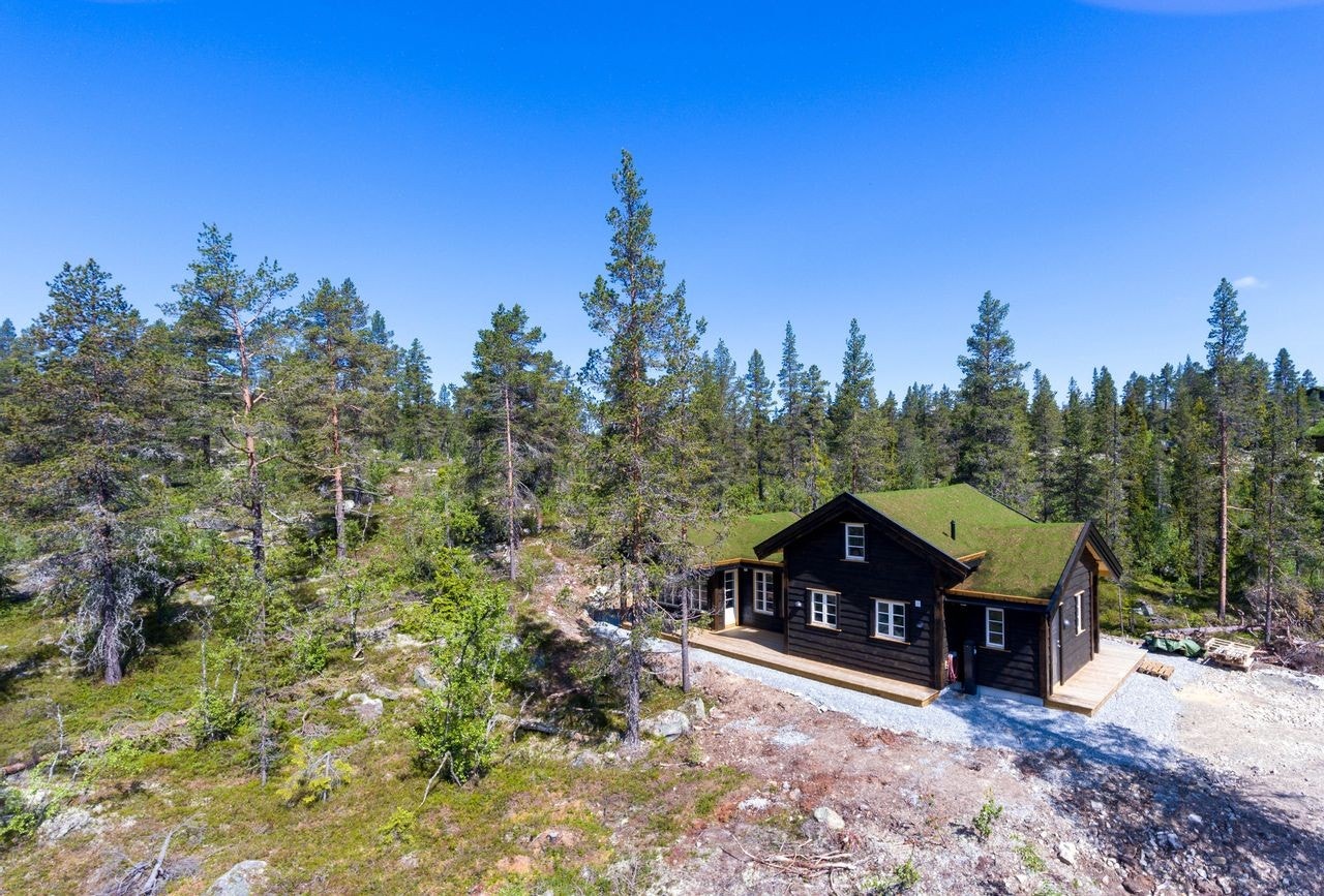 Tindefjell Hyttegrend Galleribilde