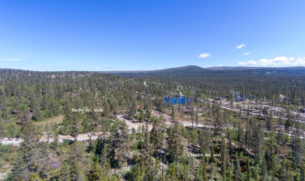 Tindefjell Hyttegrend Galleribilde