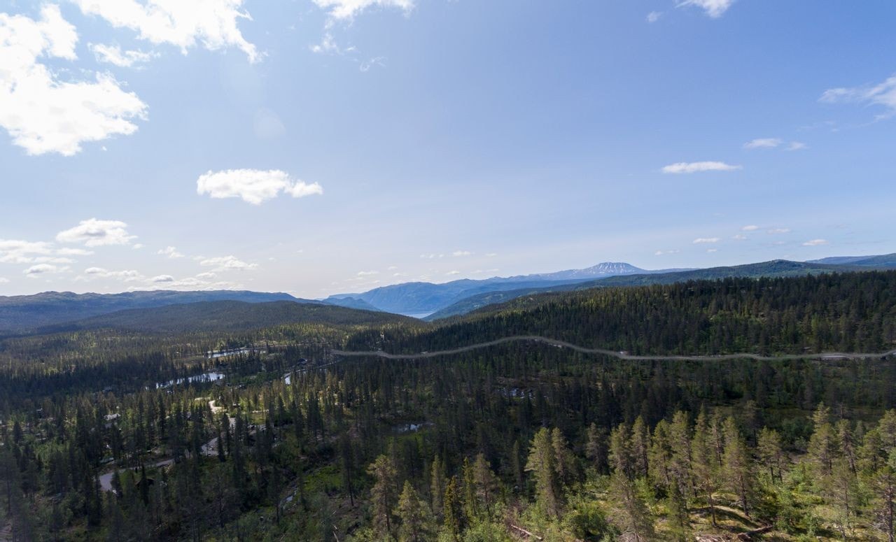 Tindefjell Hyttegrend Galleribilde