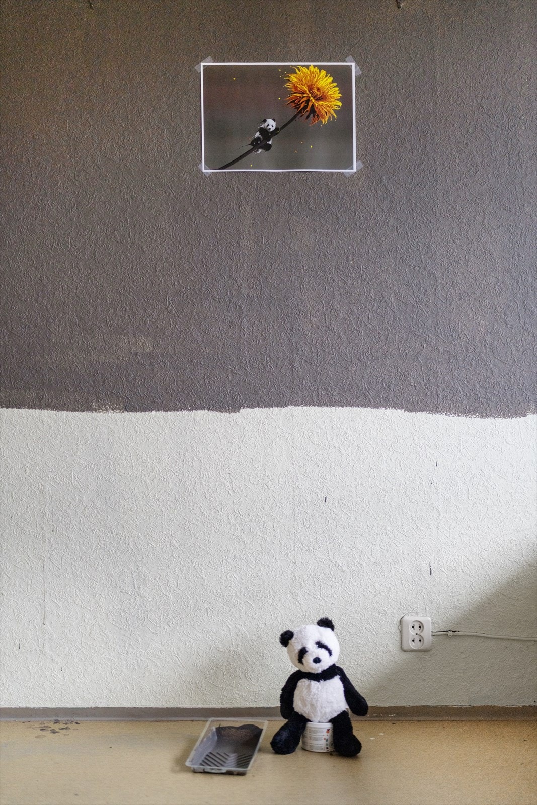 Her har pandaen allerede begynt med malingsprøver på veggene Galleribilde