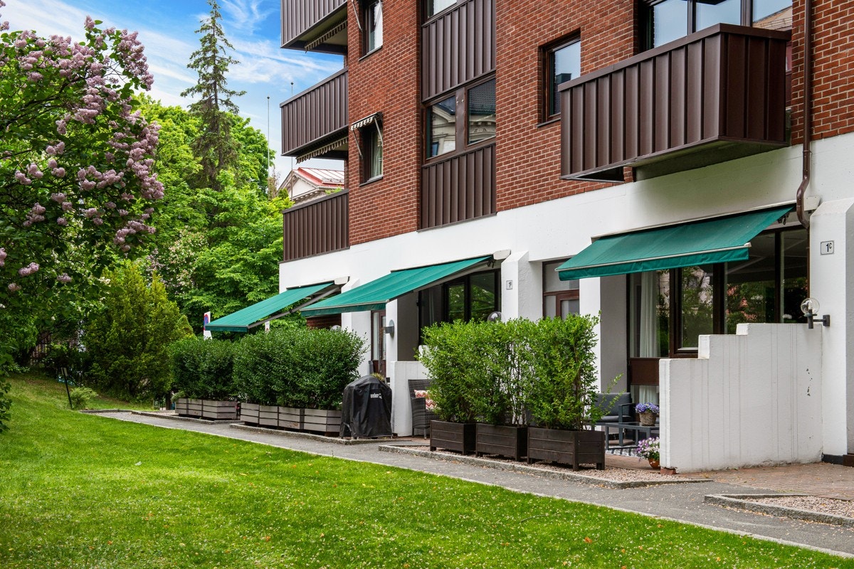 Uteområde (sommerbilder). Galleribilde