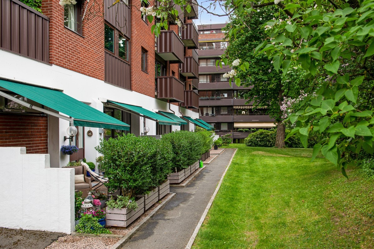 Direkte adkomst til grønn og velstelt hage (sommerbilder). Galleribilde