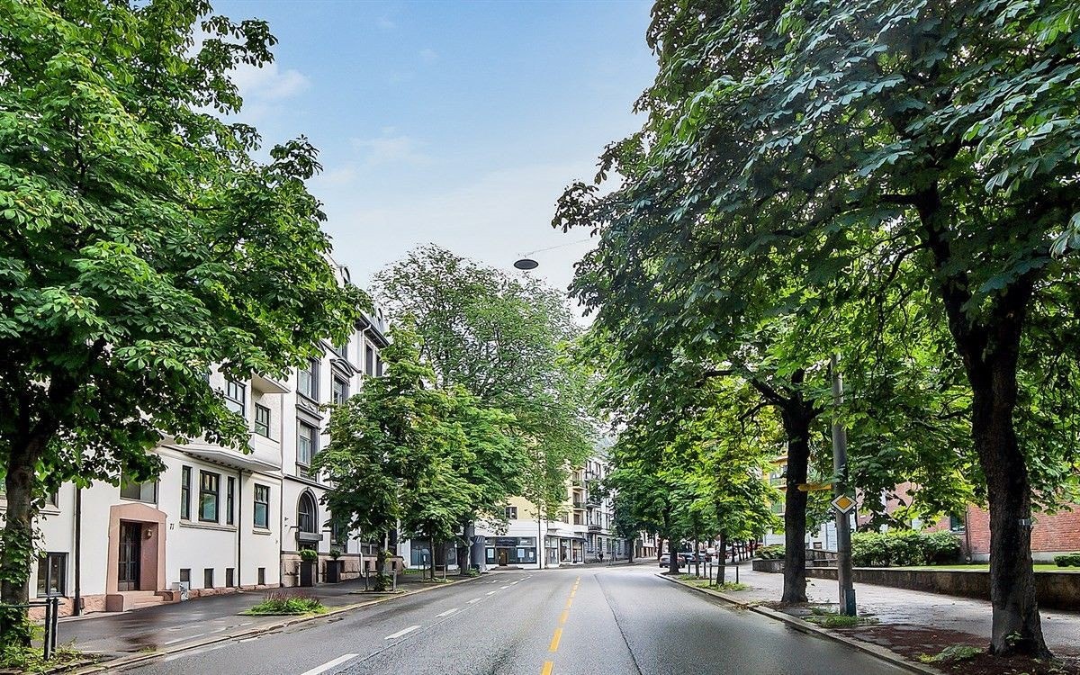 Nærområdet - Bygdøy allé Galleribilde