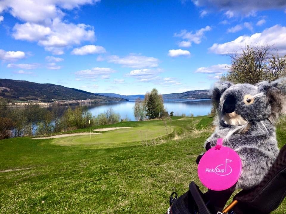 Randsfjorden golfpark. Galleribilde
