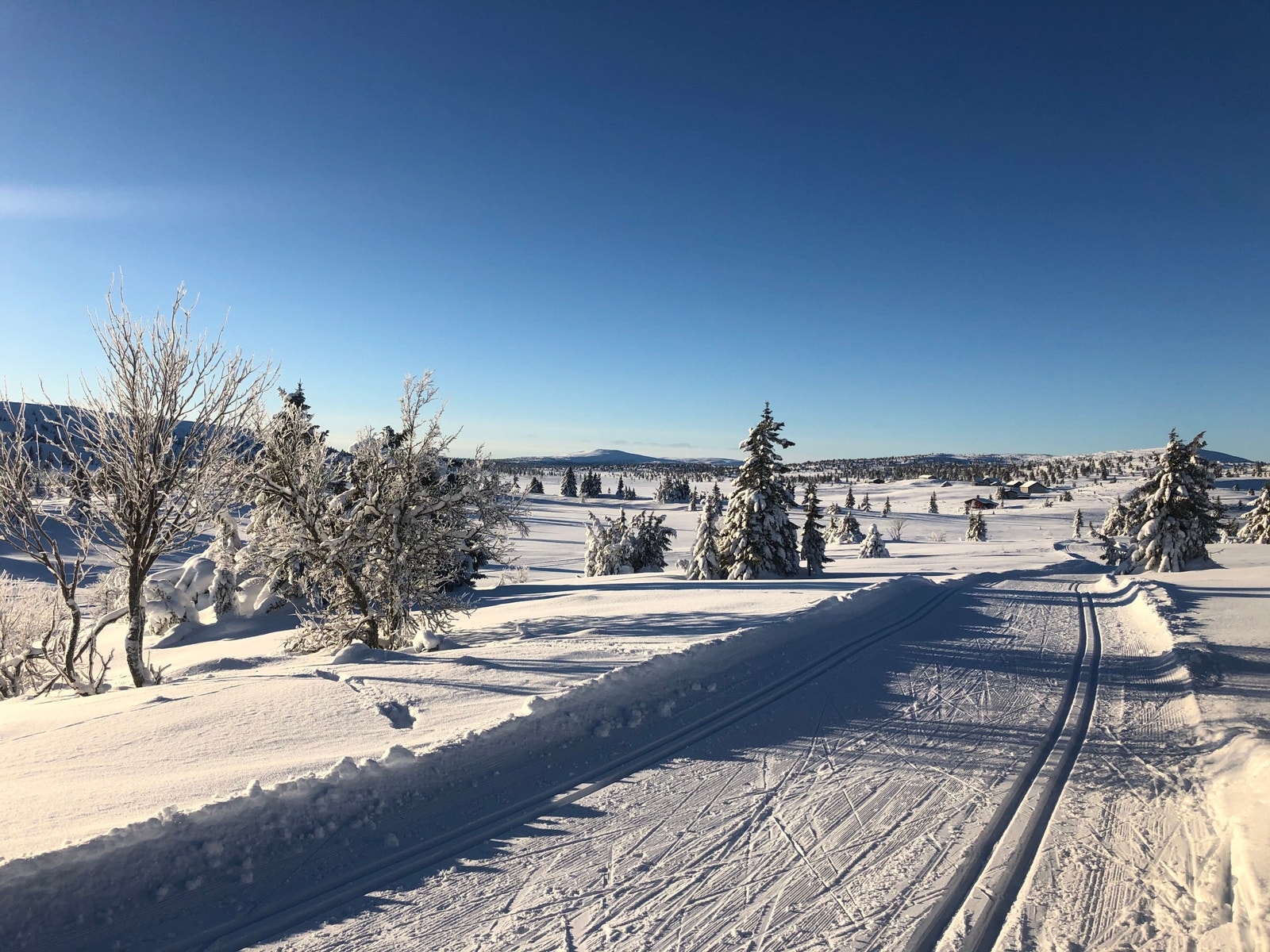 Flotte vinterforhold Galleribilde