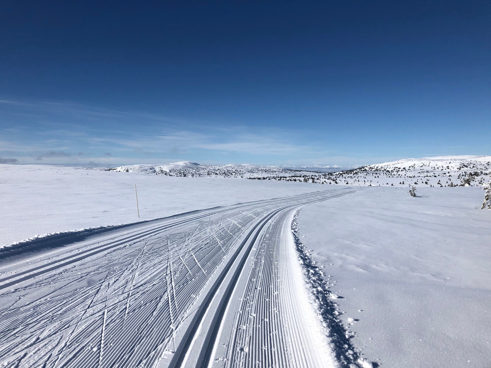 350 km med nypreppede løyper Galleribilde