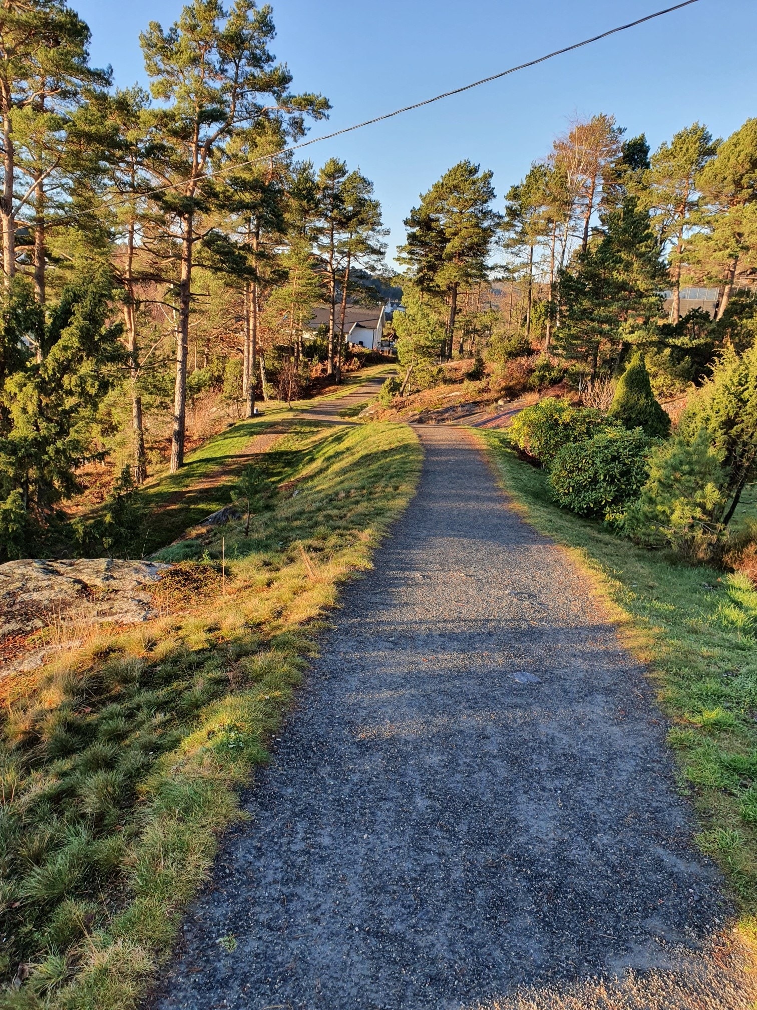 Trollskogen 300 m fra bolig Galleribilde