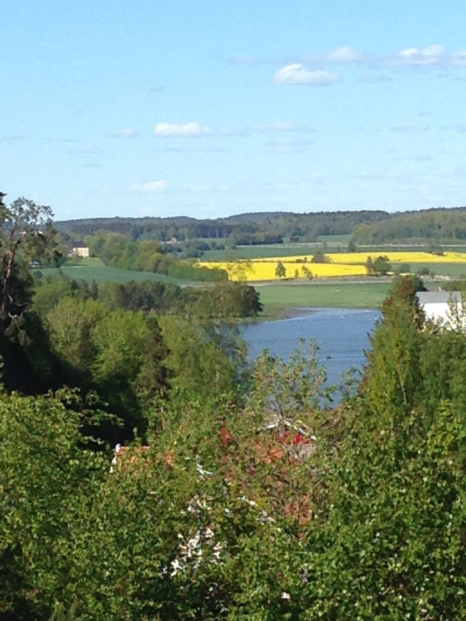 Utsikt til Jarlsberg hovedgård og fjorden/indre havn. Galleribilde