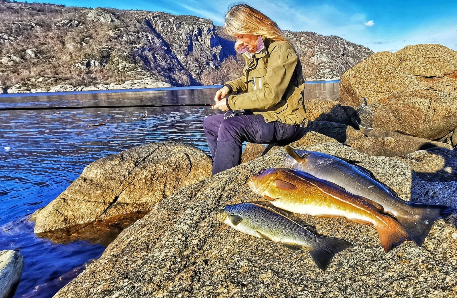 Grei fangst; Sjøørret, Lyr & taretorsk OG disse er tilstede stort sett hele året. Fra juni og utover kommer det mye annet som makrell, havabbor, sei, laks, horngjel osv....
#fiske #fjordfiske #jenter #kvinnedagen Galleribilde