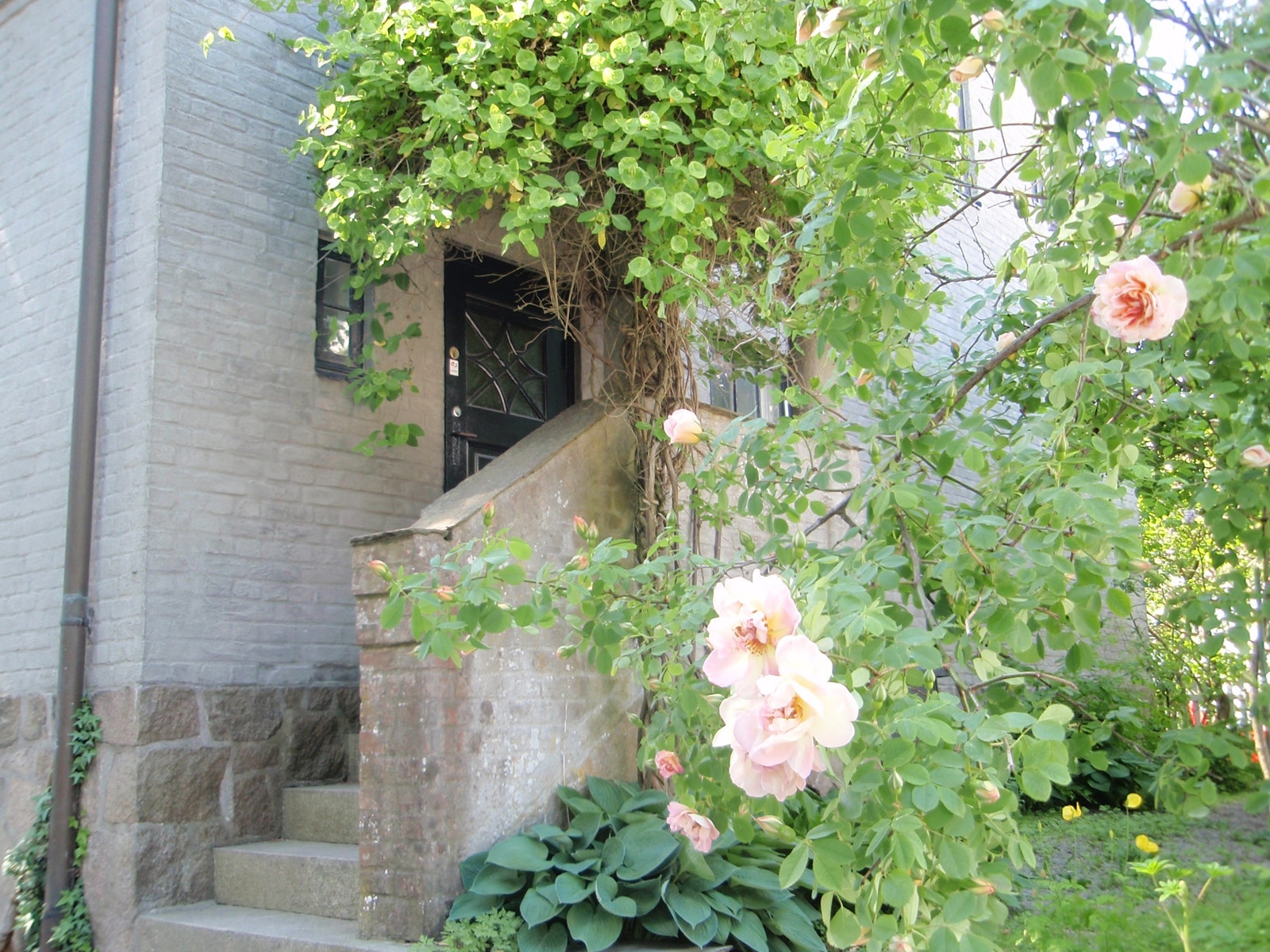 Egen inngang Galleribilde