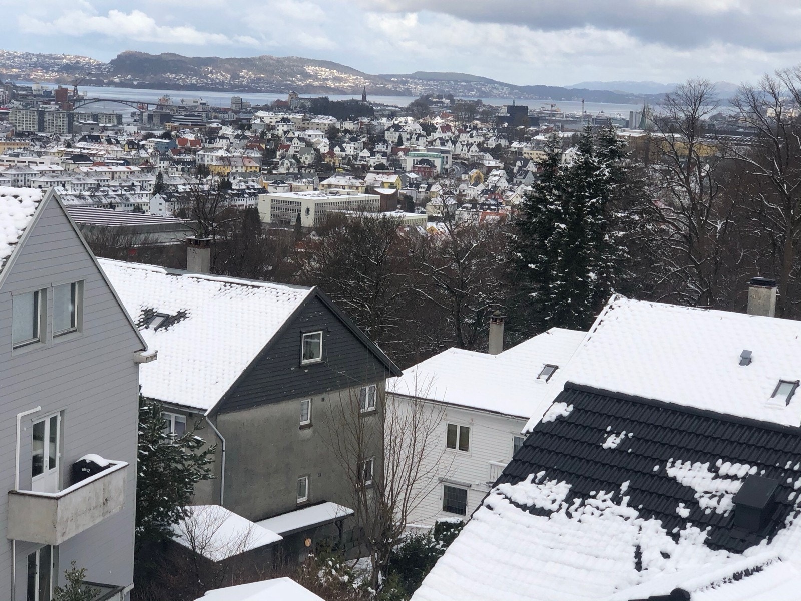 Vinterutsikt Galleribilde