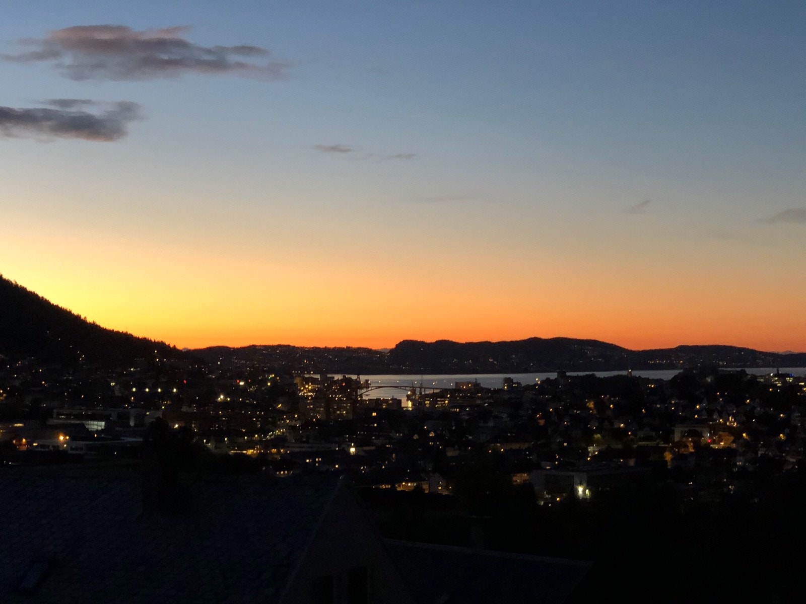 Sommerkveldsutsikt Galleribilde