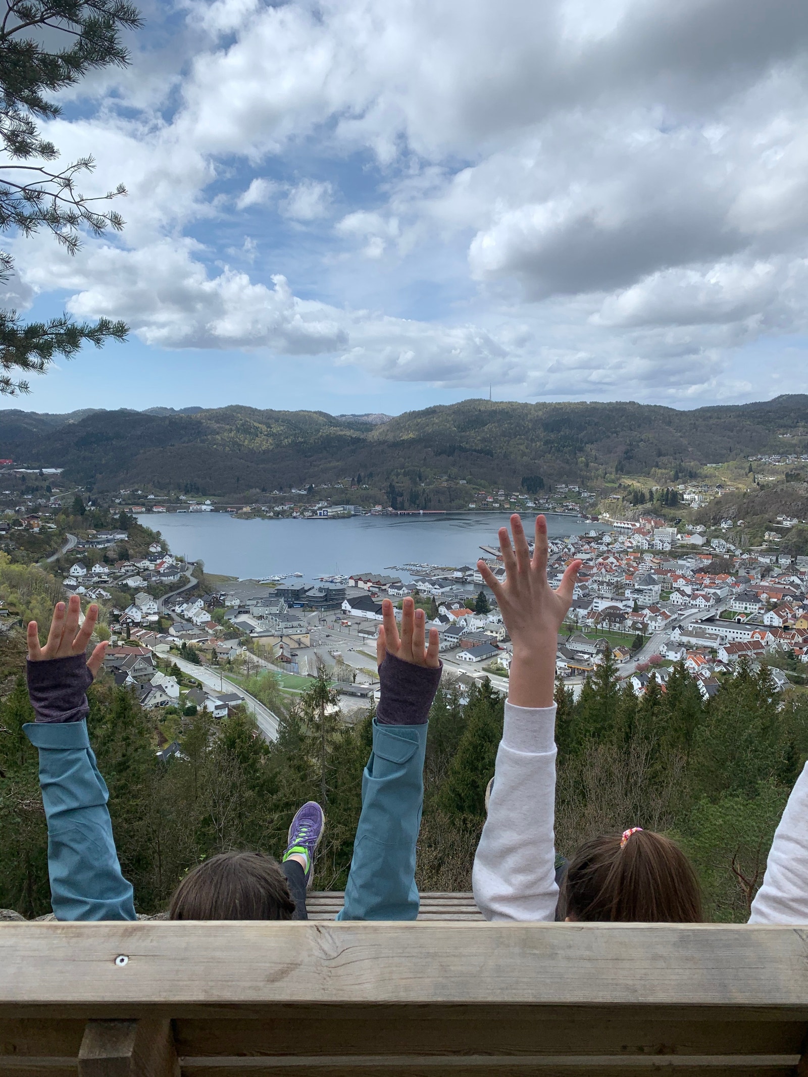 Høgåsen utsikt over byen Galleribilde
