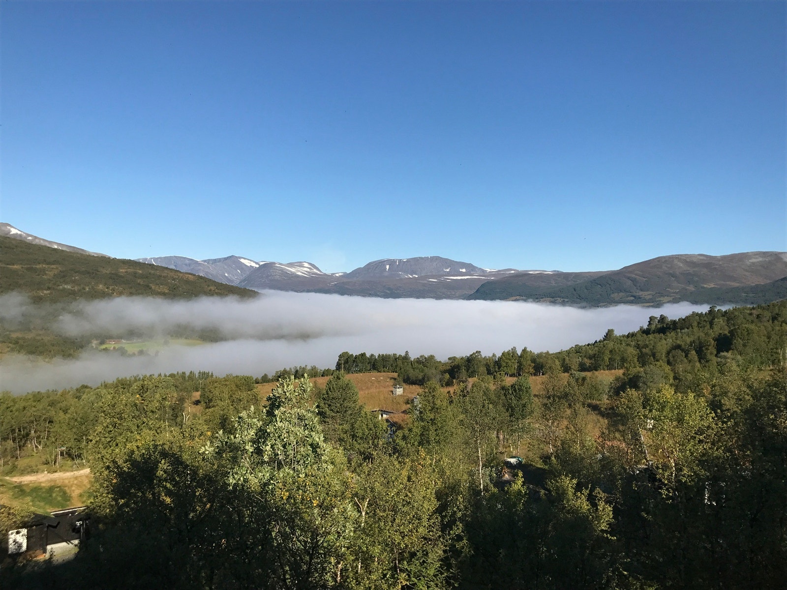 Morgendis Galleribilde