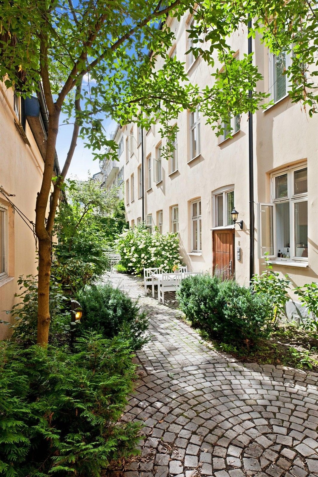Fint og frodig i bakgården (før fasaderehabilitering). Galleribilde