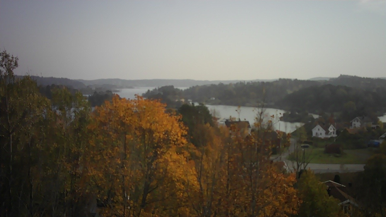 Utsikt sør Galleribilde