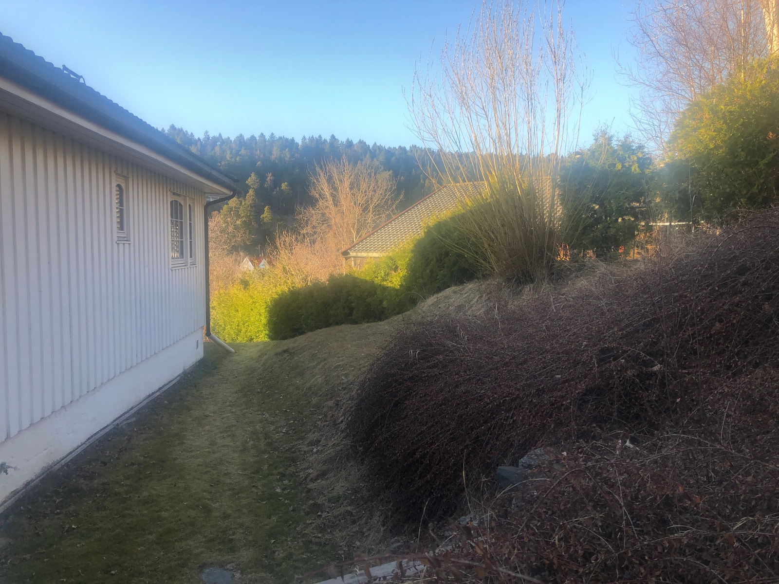 Hage bak huset, gode vekstvilkår for grønnsaker Galleribilde