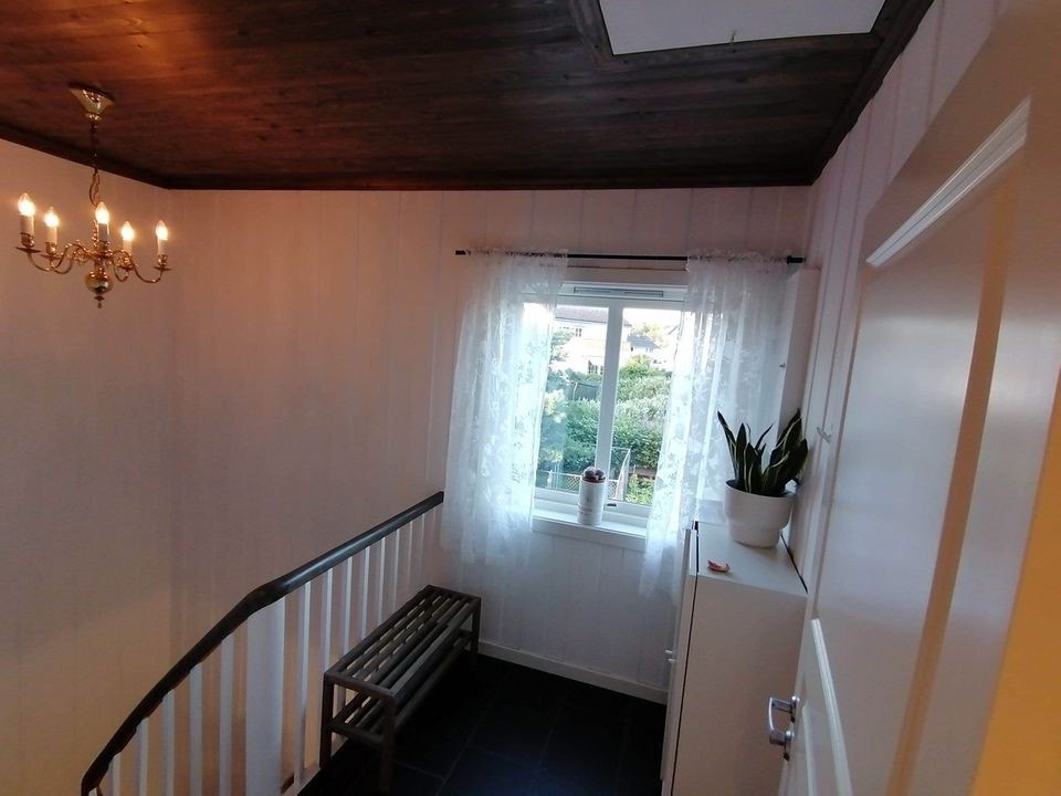 Liten yttergang med knagger og oppbevaring av vedlikeholdsprodukter /utstyr. Galleribilde