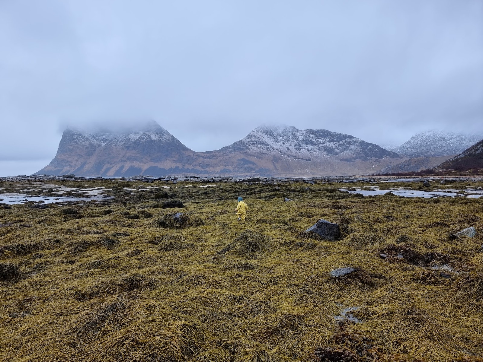 Det kan være stor forskjell på flo og fjære i Lofoten. Fjæra er mine barns favoritt - hva gjemmer seg under tanga i dag, mon tro? Galleribilde