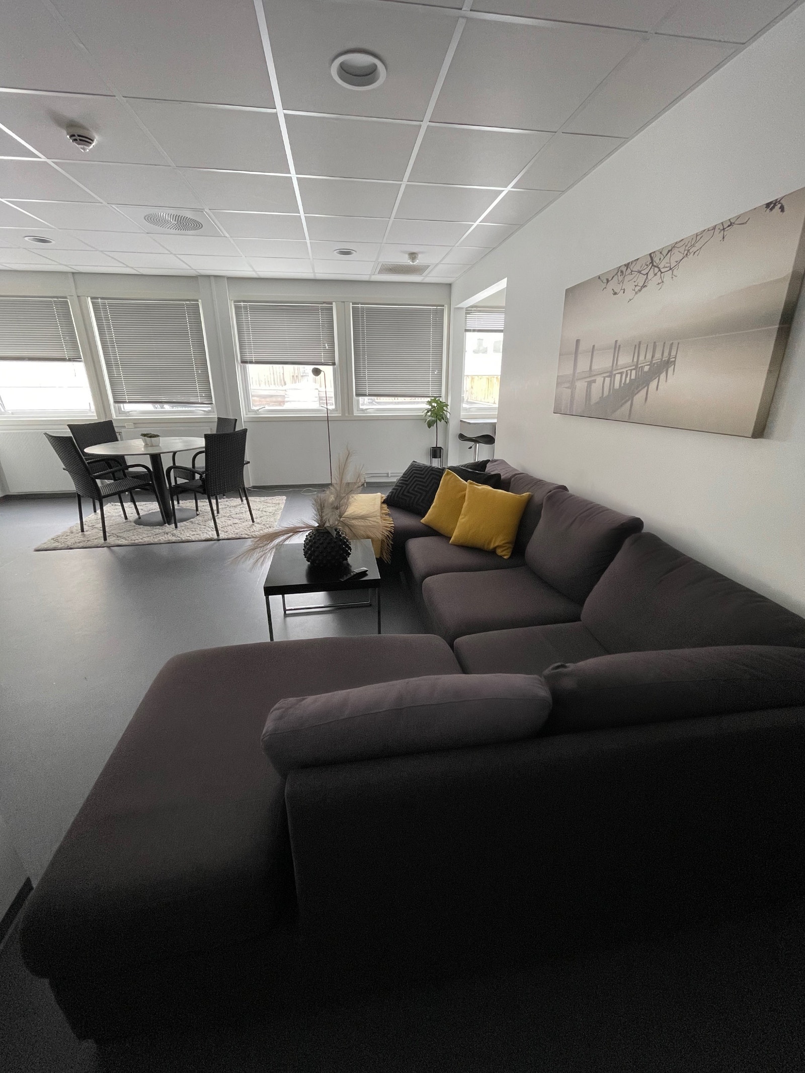 Stor felles stue Galleribilde