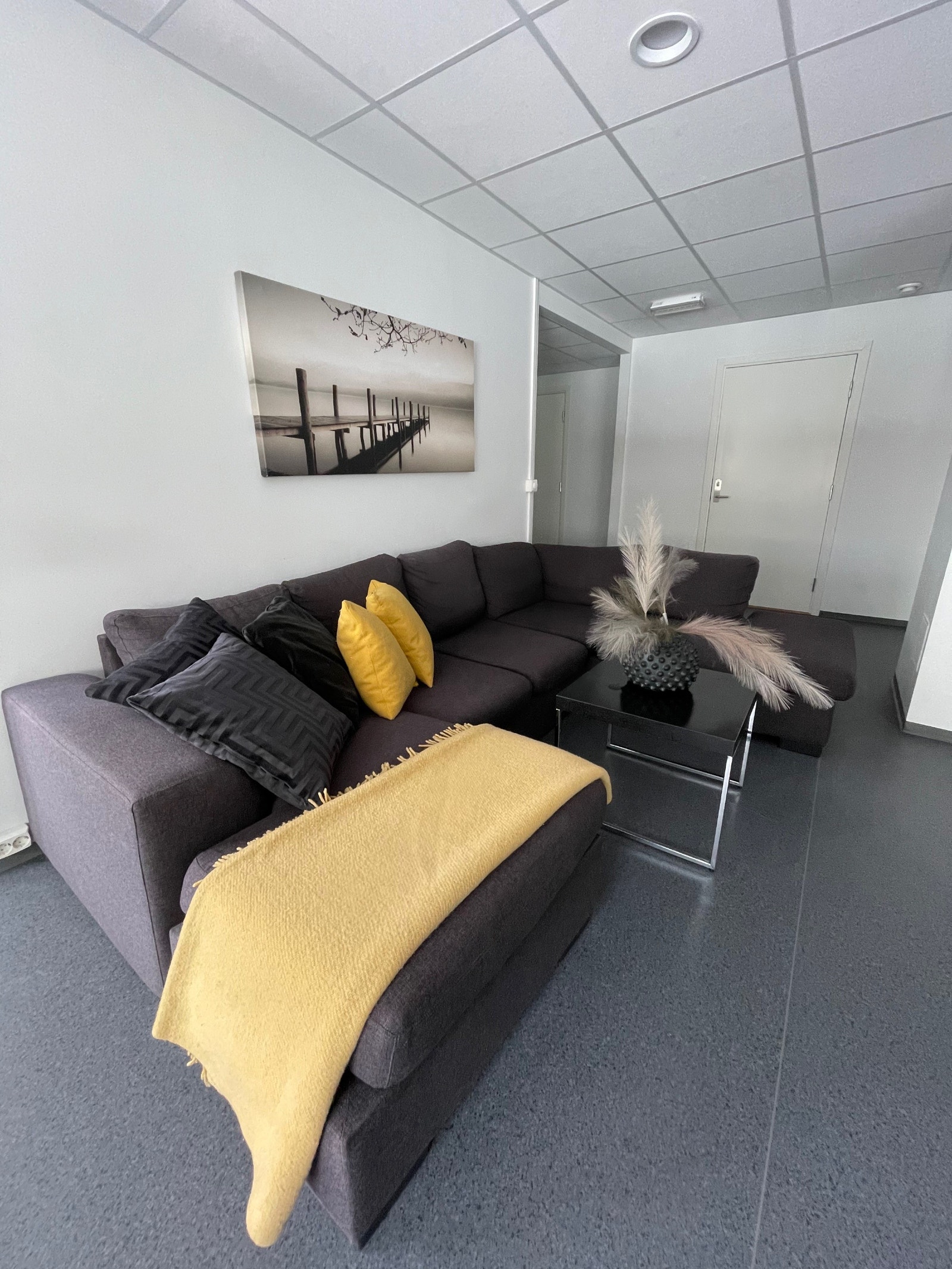 Stor felles stue Galleribilde