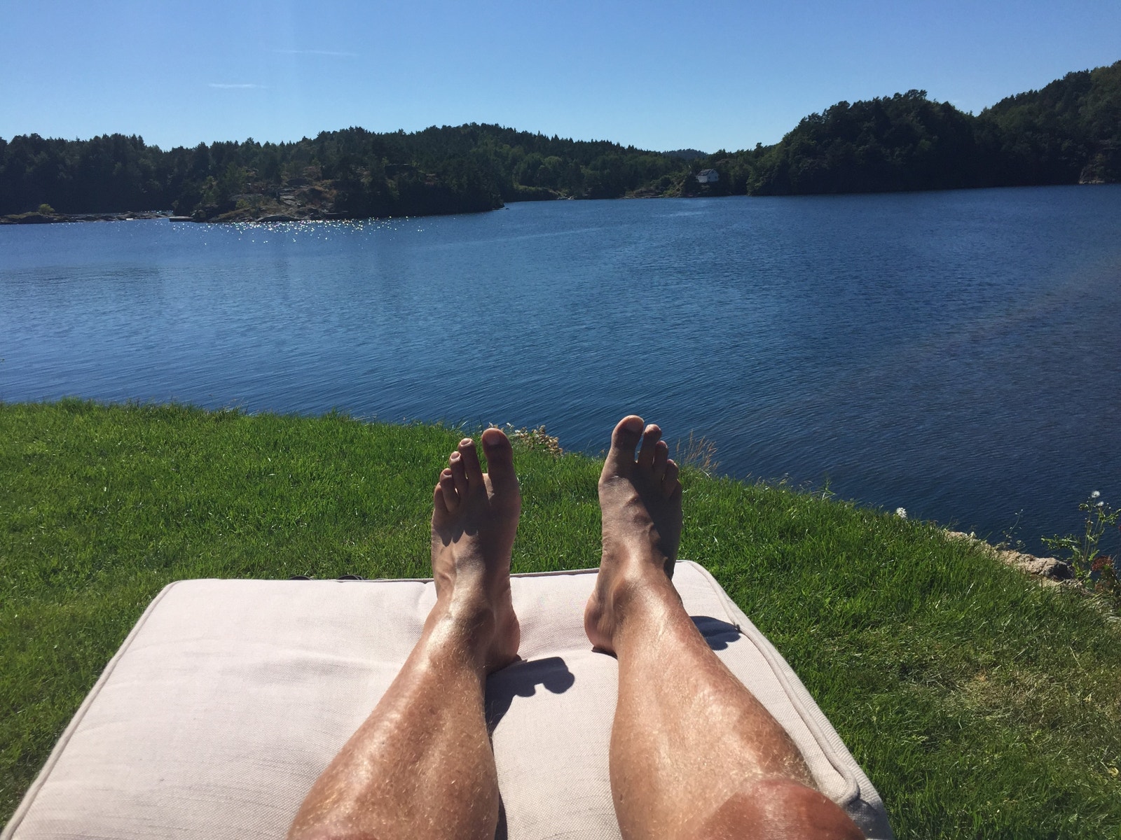 Utsiktsbilde gressmatten ytterst på øya Galleribilde