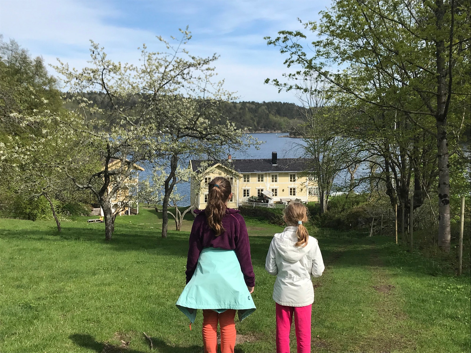 Furøya Galleribilde