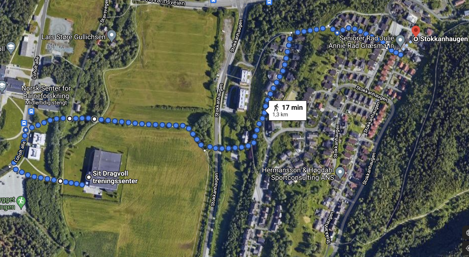 17 minutter gange til Dragvoll idrettssenter. 7 minutter på sykkel Galleribilde