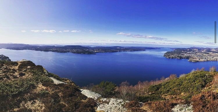 Bilde fra fjelltur i nærheten (10-15min gåavstand) Galleribilde