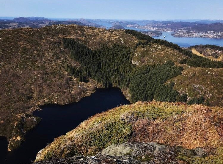 Bilde fra fjelltur i nærheten - Høgstefjellet Galleribilde