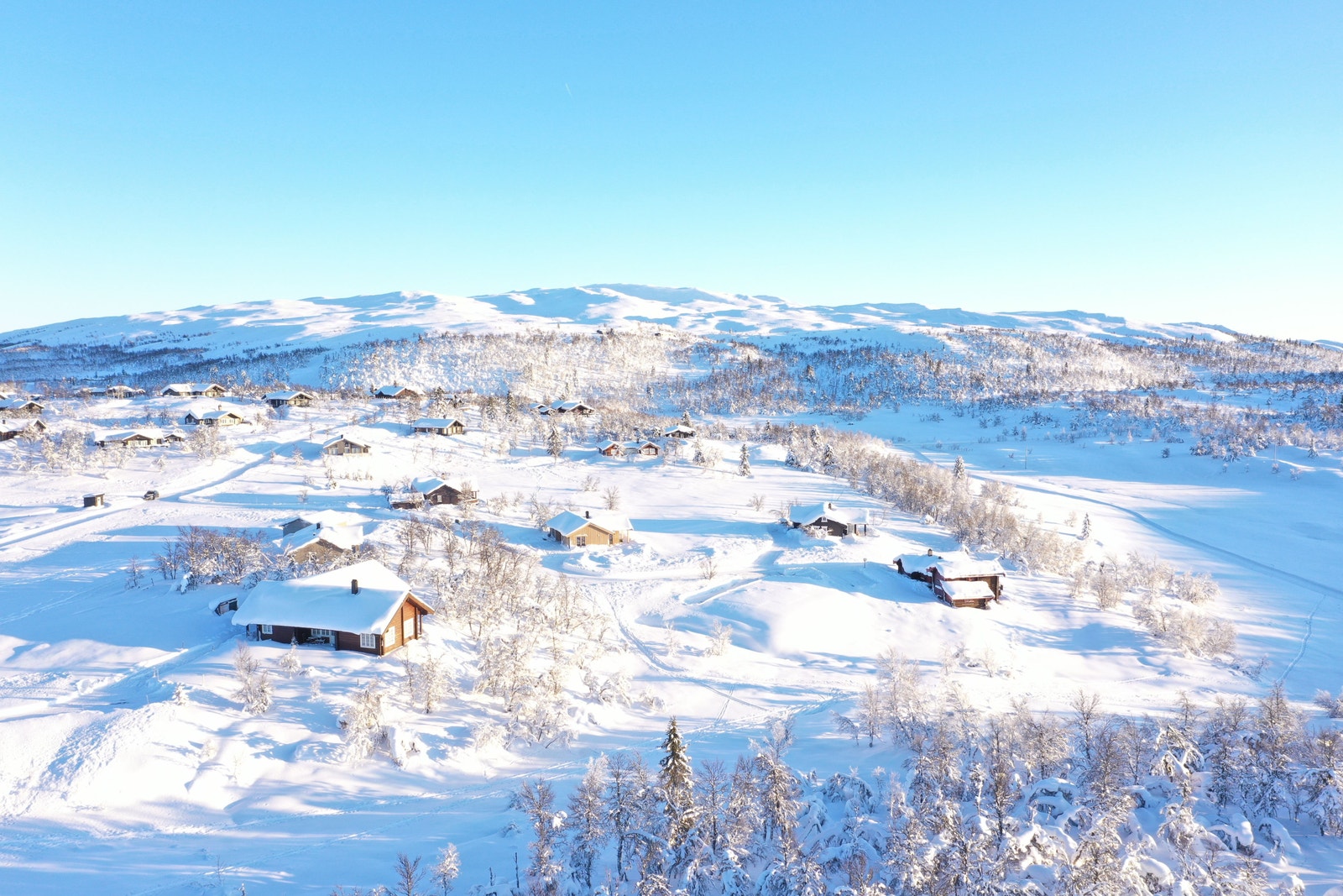 Ski-in Ski-out (langrenn) på Ølsjølitoppen Galleribilde
