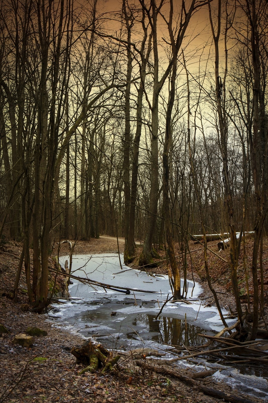 Boligen har en svært ettertraktet beliggenhet grensende mot Den engelske park, Skøyenparken ved Frognerparken. Galleribilde