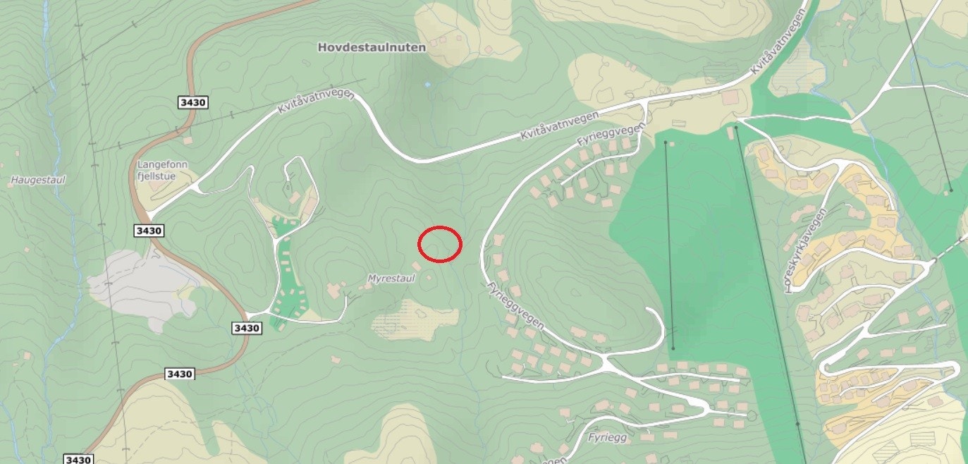 Plassering tomt 6 med nærhet til fasiliteter, barnebakke, anlegg, langrenn, Gaustatoppen. Galleribilde