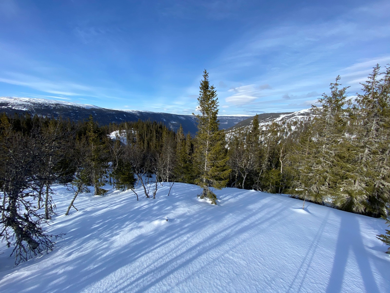 Utsikt mot Hardangervidda og Vestfjorddalen fra tomt 6 Galleribilde