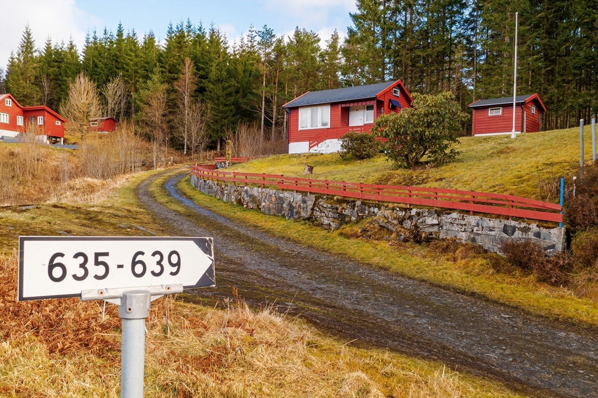 Hytten har enkel adkomst fra Vassbygdvegen. Galleribilde