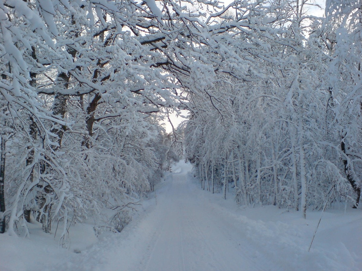 DSC00967 Galleribilde