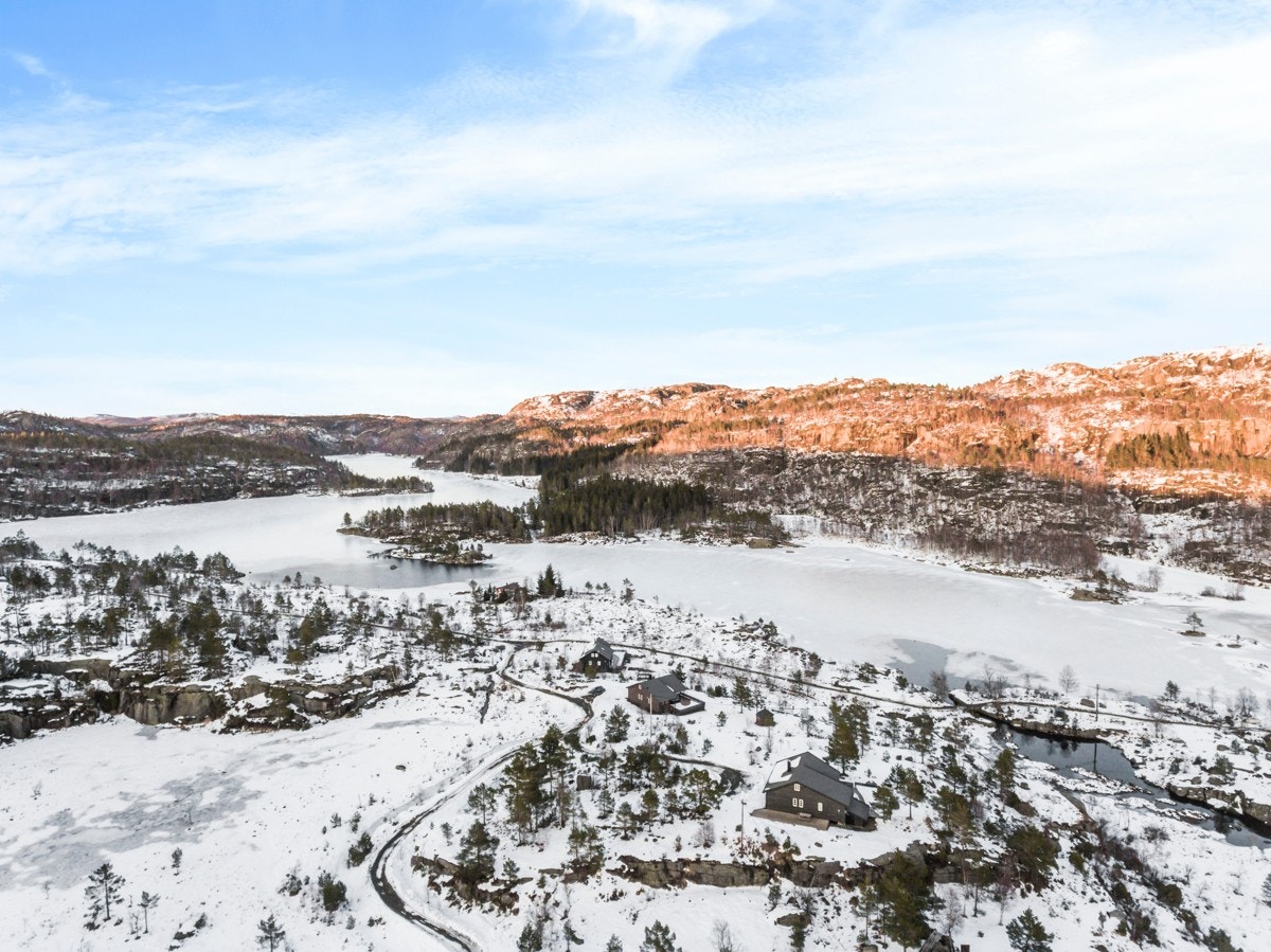 Hildreskog_0315 Galleribilde