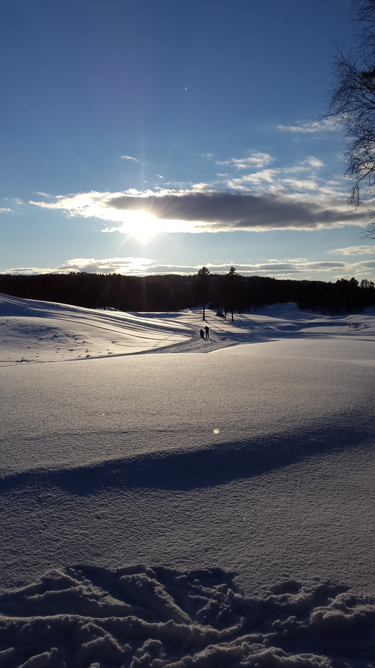 20160116_142958 Galleribilde