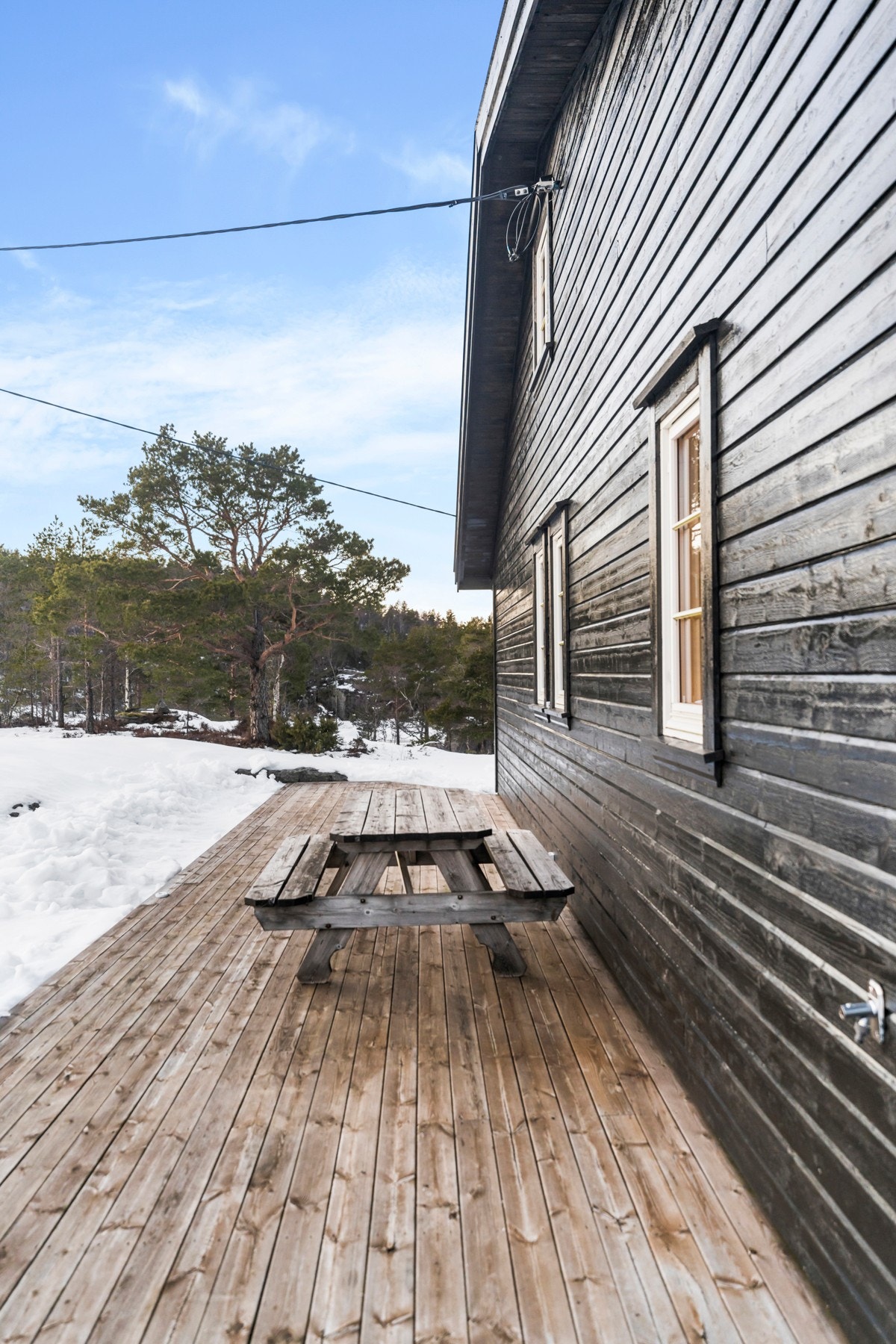 Hildreskog_0196 Galleribilde